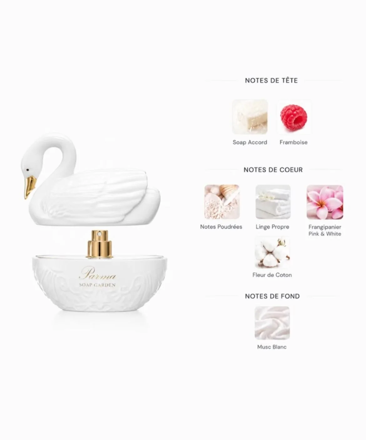 Soap Garden Parma Perfume + Perfume Oil
