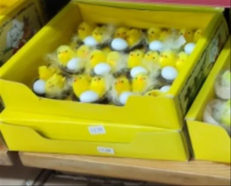 صوصين مع عش وبيضه