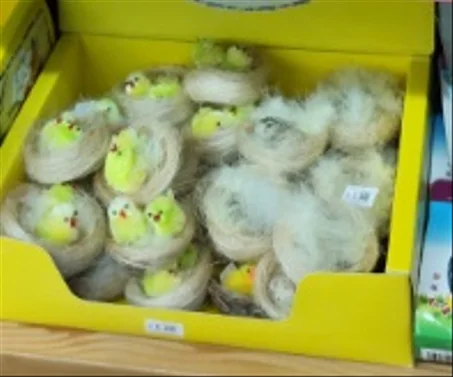 صوصين مع عش