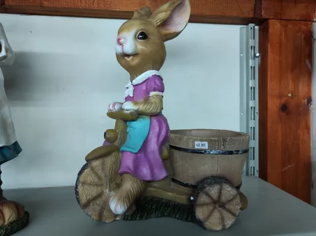 ارنب على دراجه