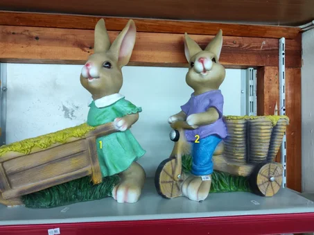 ارنب مع سله جر حجم كبير