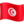 🇹🇳