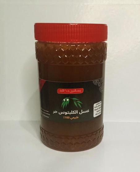 عسل الكاليبتوس