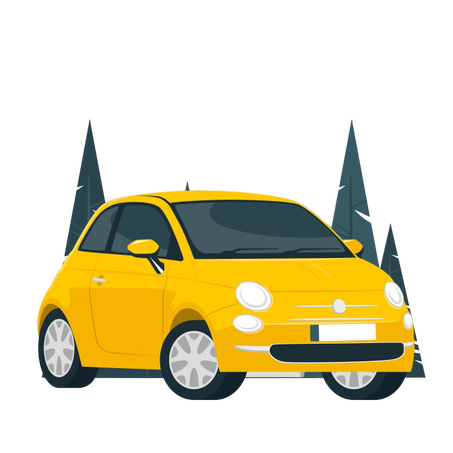 اكسسوارات السيارات