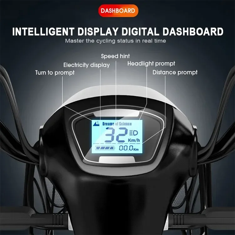 Wholesale High Quality Multi Functional Type 14 inch Fat Tire Retro Moped 350 W Electric City Bike