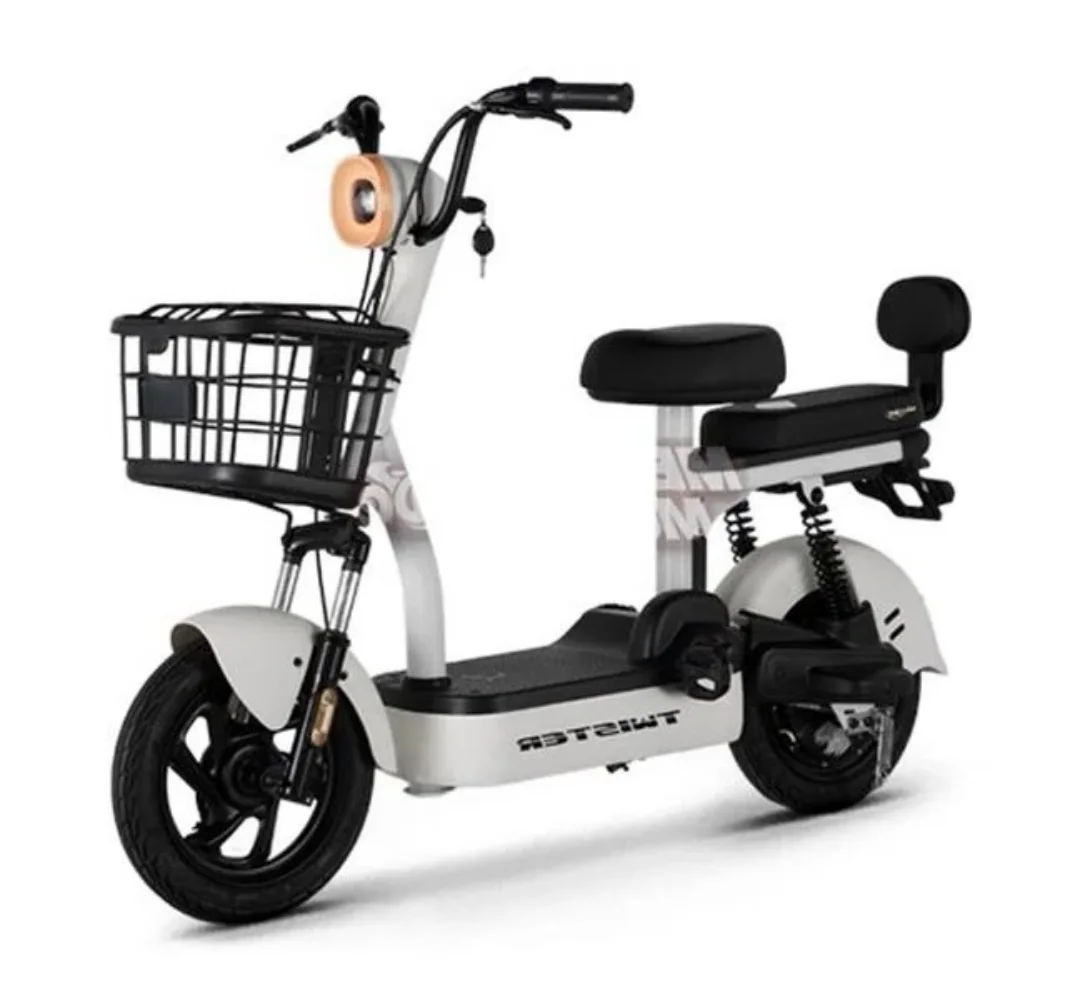 scooter électrique Tailg Twister