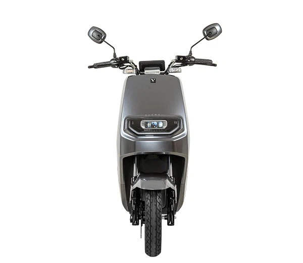 G5 Adult Electric Motorcycle