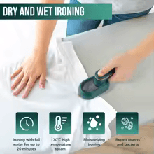 Mini Portable Iron