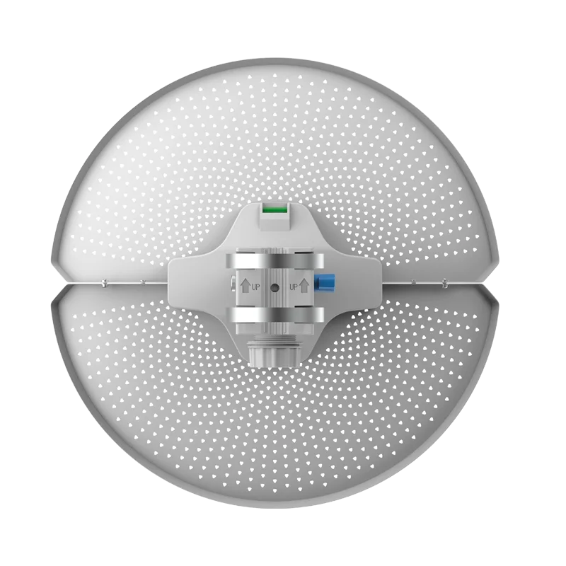 RG-AirMetro460F, CPE of RG-AirMetro Series Wireless Bridges