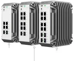 RG-NIS3100 Series Datasheet