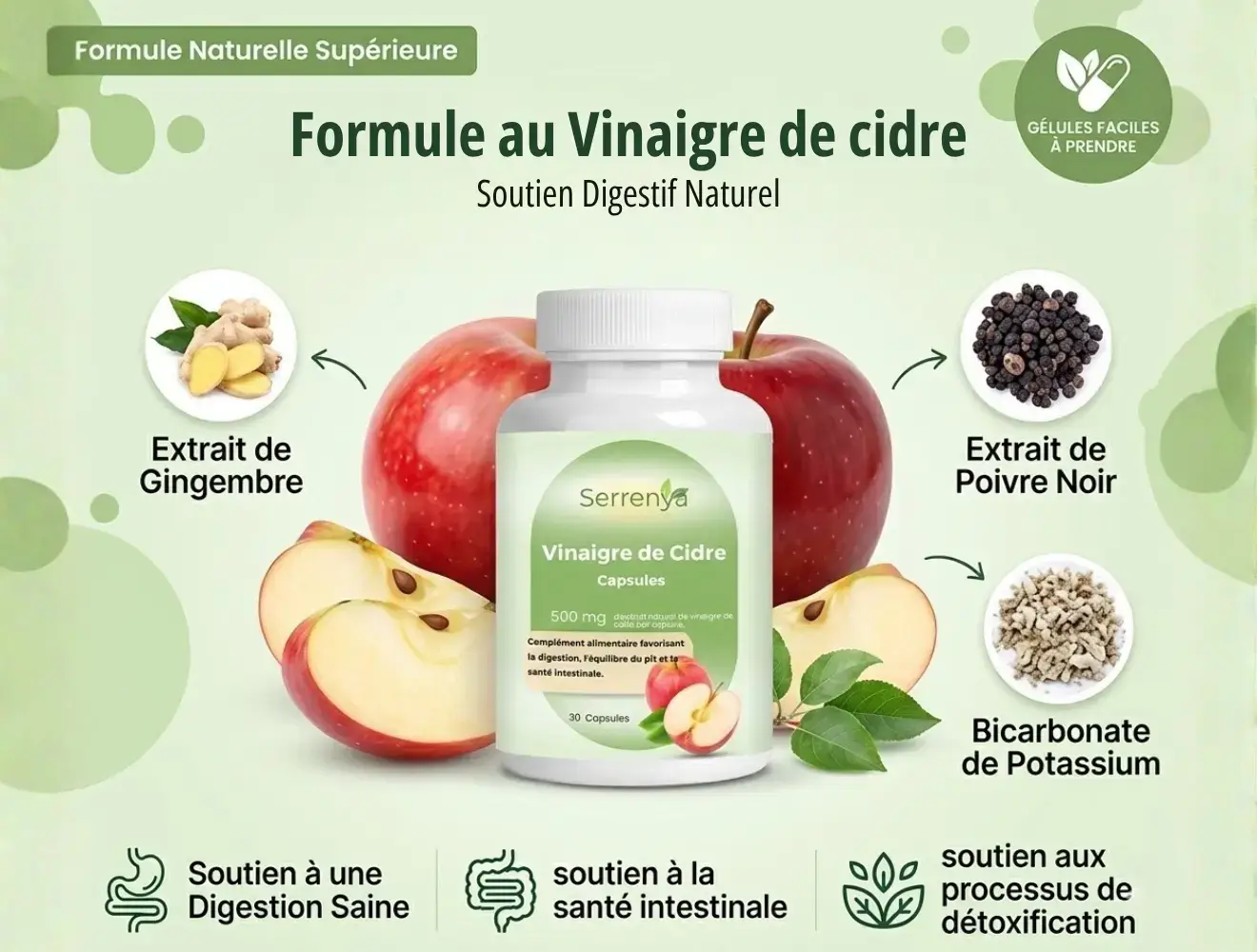 Capsules pour le Confort Digestif (Formule Inspirée des Approches Nutritionnelles)