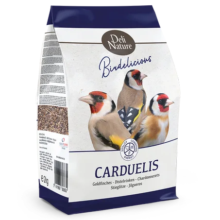 Carduelis - Chardonnerets Birdelicious Deli nature
