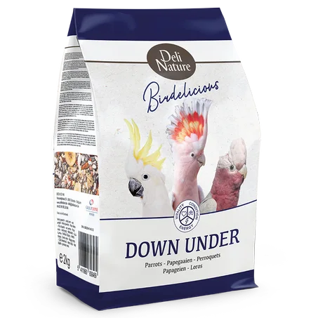 Perroquets en Australie Birdelicious Deli nature