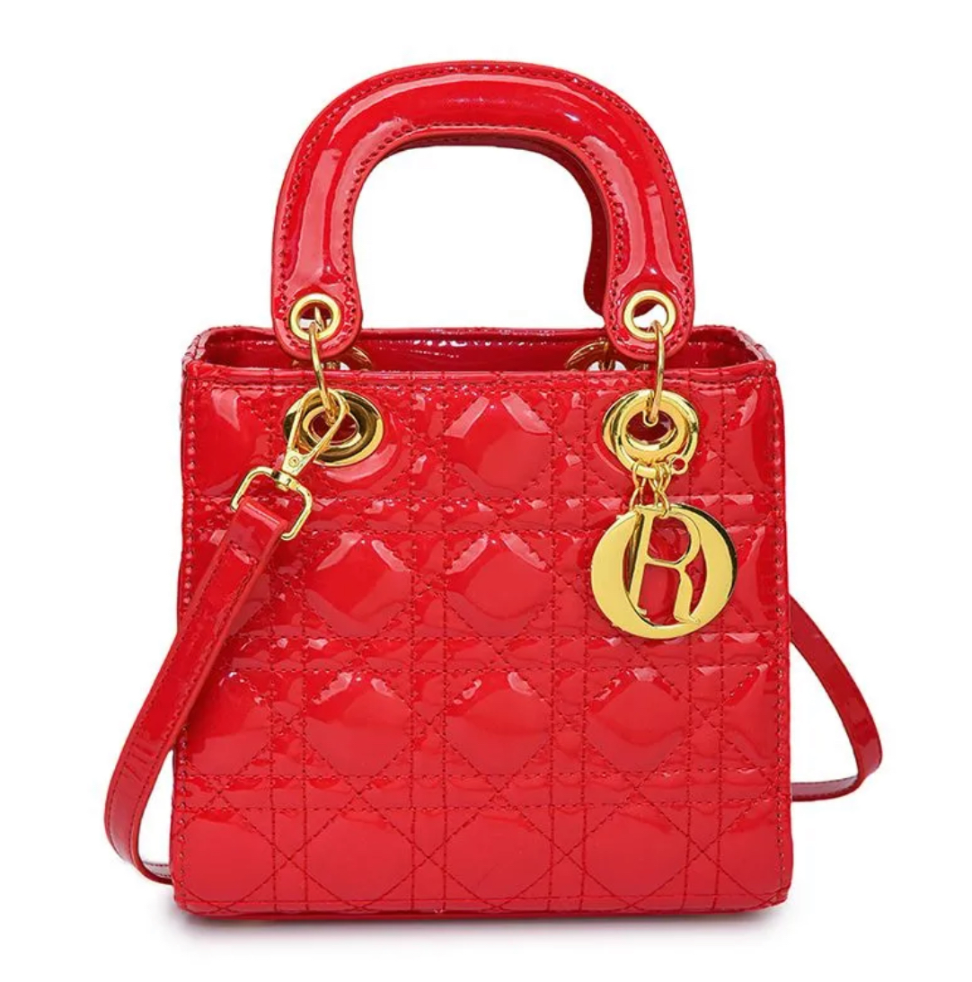 DIOR Luxury Hand Bag