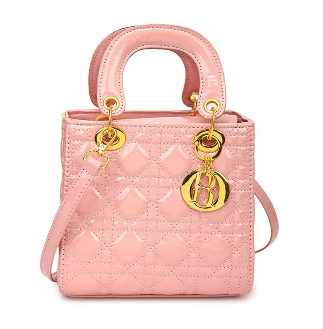 DIOR Luxury Hand Bag