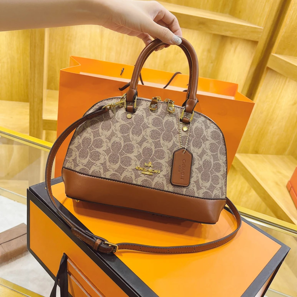 COACH HAND BAG
