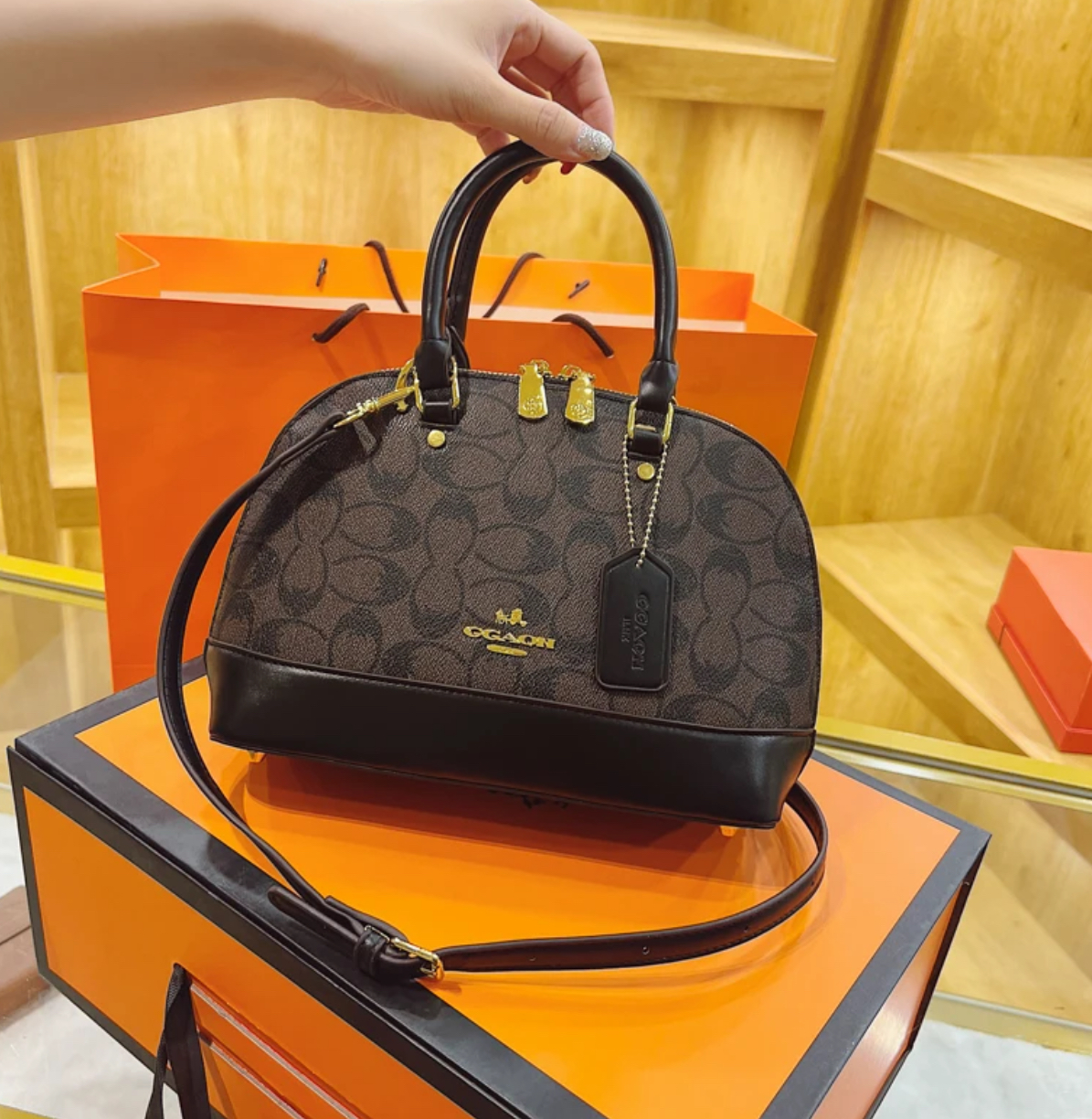 COACH HAND BAG