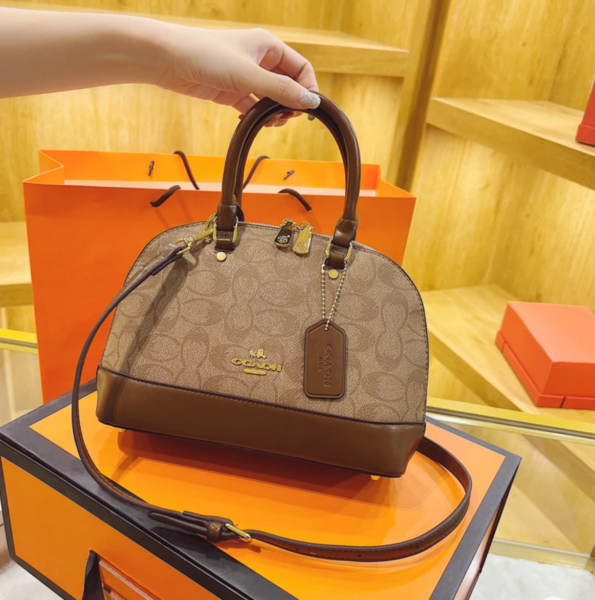 COACH HAND BAG