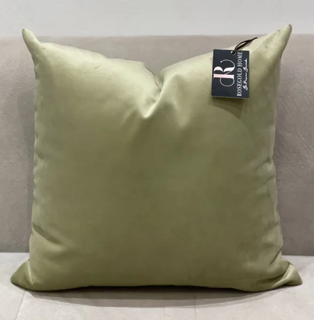 COUSSIN EN VELORUS VERT AMANDE