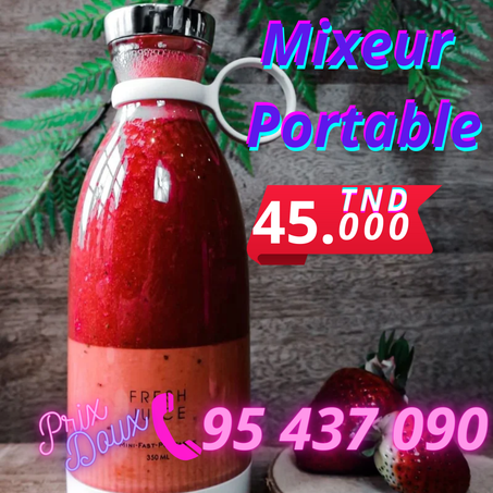 Mixeur Portable