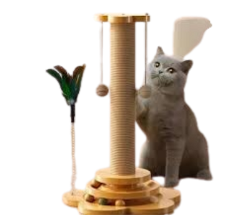 مستلزمات الحيوانات الأليفة