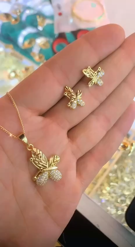 ensemble papillon XP inoxydable (M-H)