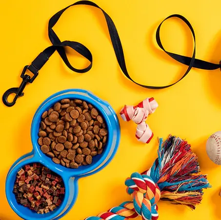 إكسسوارات حيوانات