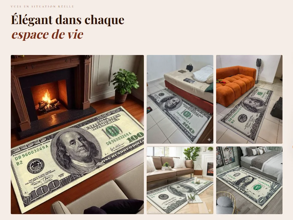 TAPIS MOTIF 100$