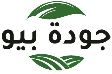 nutsouezzane