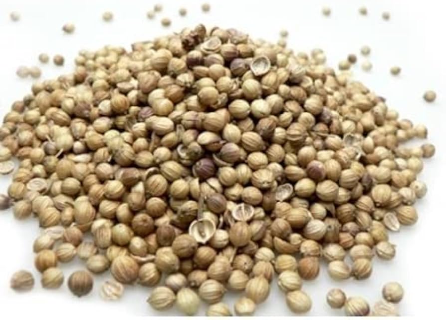 كزبرة حصي بلدي