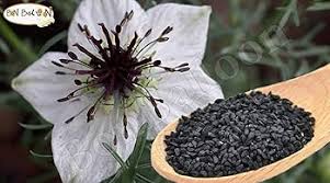 حبة البركة ( الحبة السوداء )