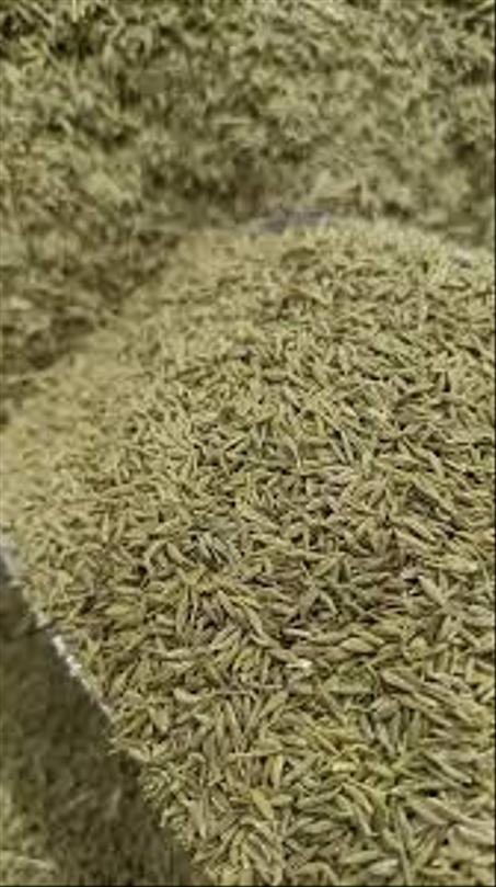 كمون حصي بلدي درجة اولي