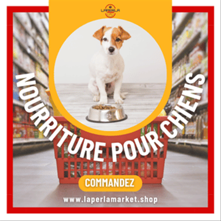 Nourriture pour chiens