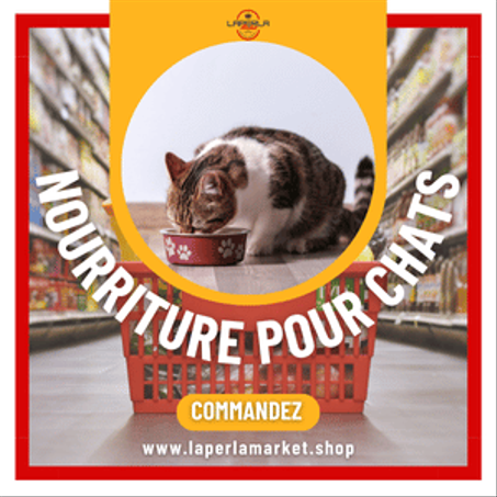 Nourriture pour chats