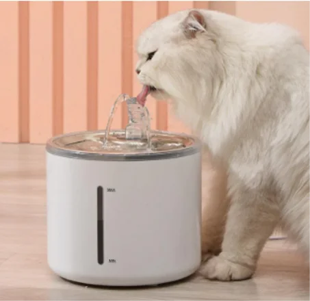 pet water fountain