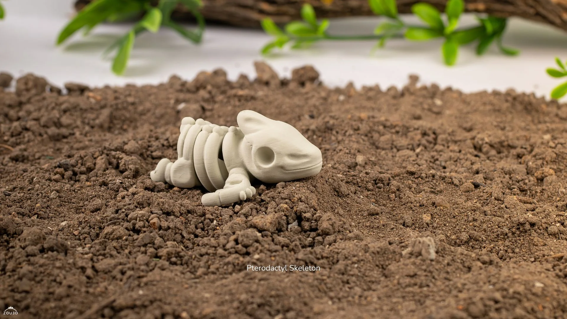 Mini Squelette de Ptérodactyle Articulé