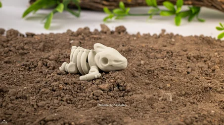 Mini Squelette de Ptérodactyle Articulé