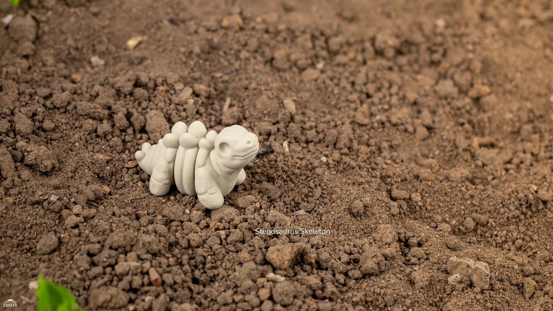 Mini Squelette de Stégosaure Articulé