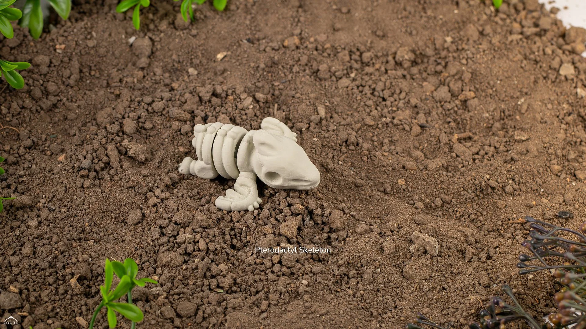 Mini Squelette de Ptérodactyle Articulé