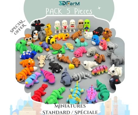 PACK 5 Miniatures Standard/Spéciale