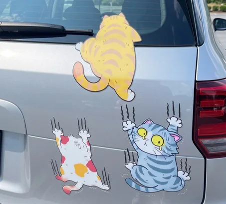 🐾 بغيتي دير ستايل زوين لسيارتك؟ 😺