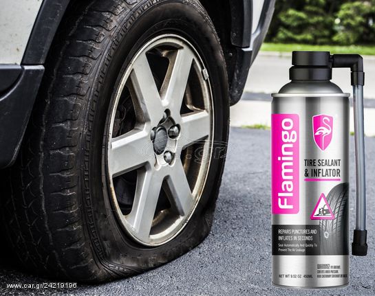 مانع تسرب ومنفاخ الإطارات 