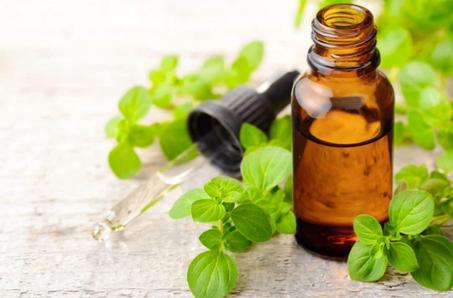 Origano oil