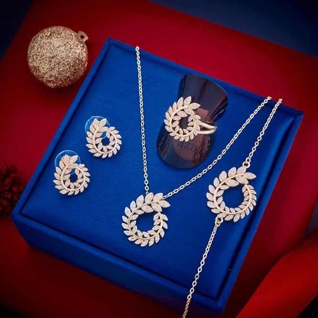 شكل السبولا ensemble acier inoxydable