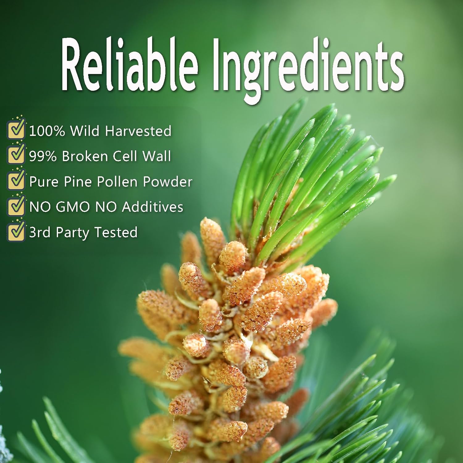 MAYKER Pure Pine Pollen Powder 80Grams