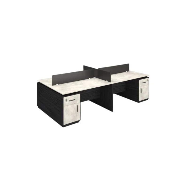 Bench professionnel avec avec séparation centrale et rangements sécurisés