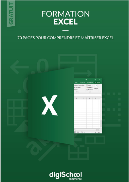 Comprendre et maîtriser Excel
