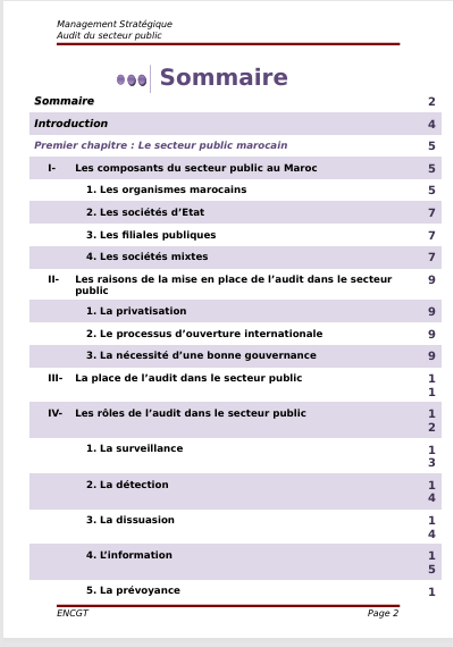 L'audit du secteur public