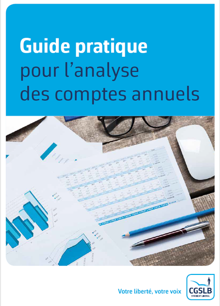Guide pratique pour l'analyse des comptes annuels
