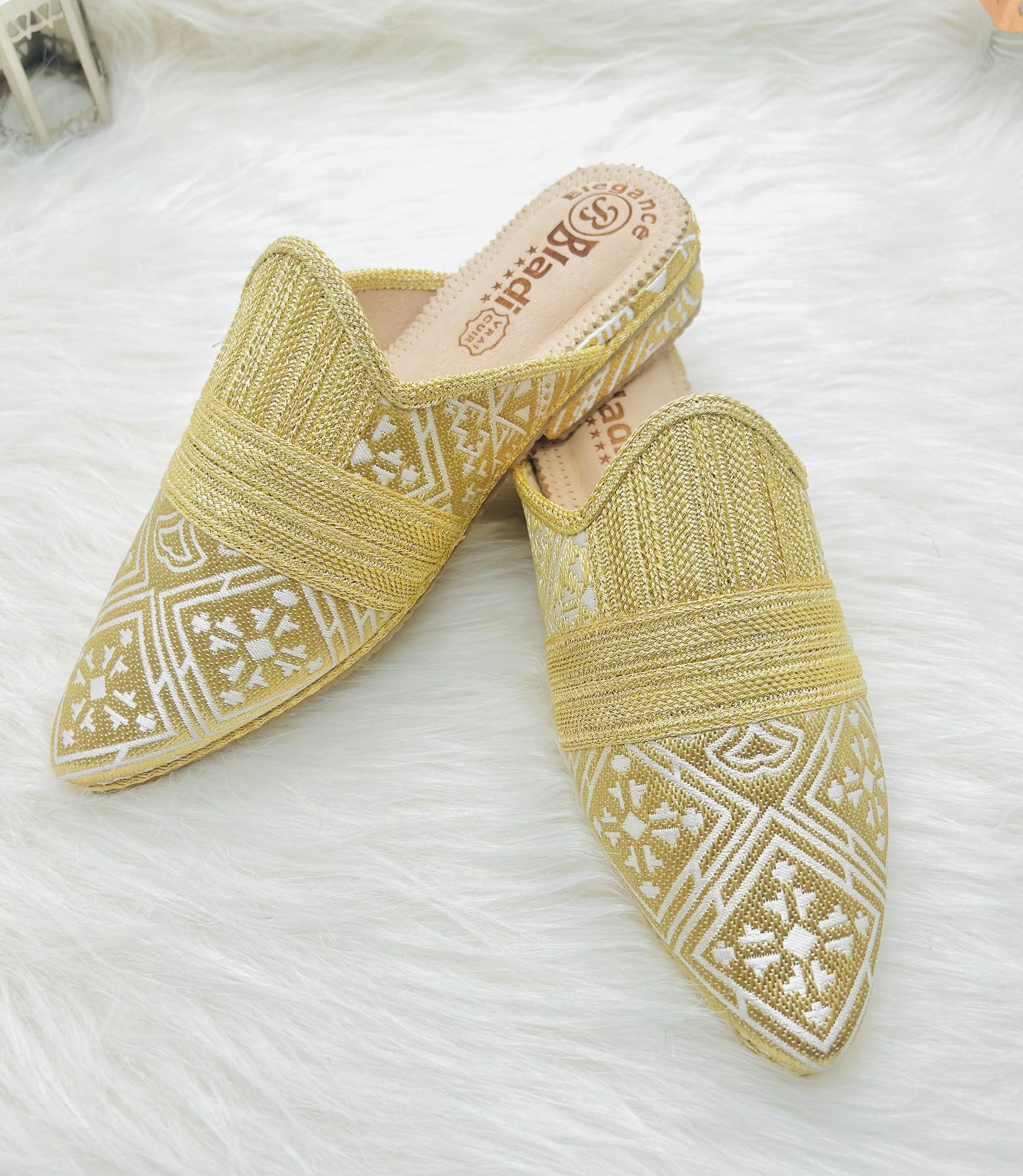 Charbile FASSI hani 01